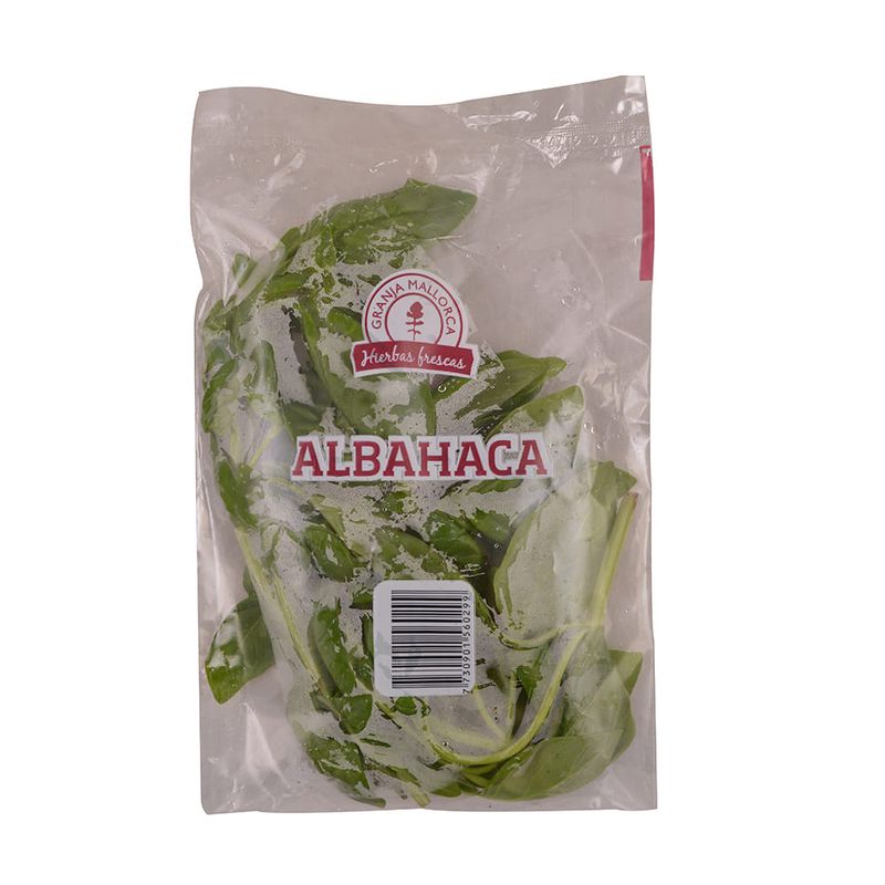 Albahaca-GRANJA-MALLORCA-un-0