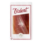 Jamon-serrano-Valent-feteado-100-g-0