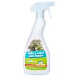 Abrillantador-jardines-de-hojas-con-pulverizador-0
