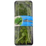 Cilantro-Nuestra-Quinta-0