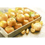 Mandarina-sin-semillas-malla-apro-x-15-kg-0