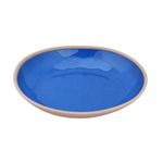 Plato-en-melamina-25-cm-0