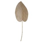 Hoja-de-Palma-en-Seagrass-35x58-100-cm-0