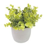 Planta-artificial-con-maceta-DLT2501-h20-cm-0