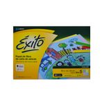 Block-papel-afiche-EXITO-pastel-Nº-5-0