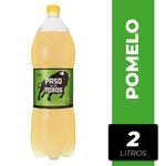 Refresco-PASO-DE-LOS-TOROS-2-L-1