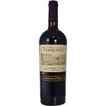 Tinto-Carmenere-Terrunyo-0