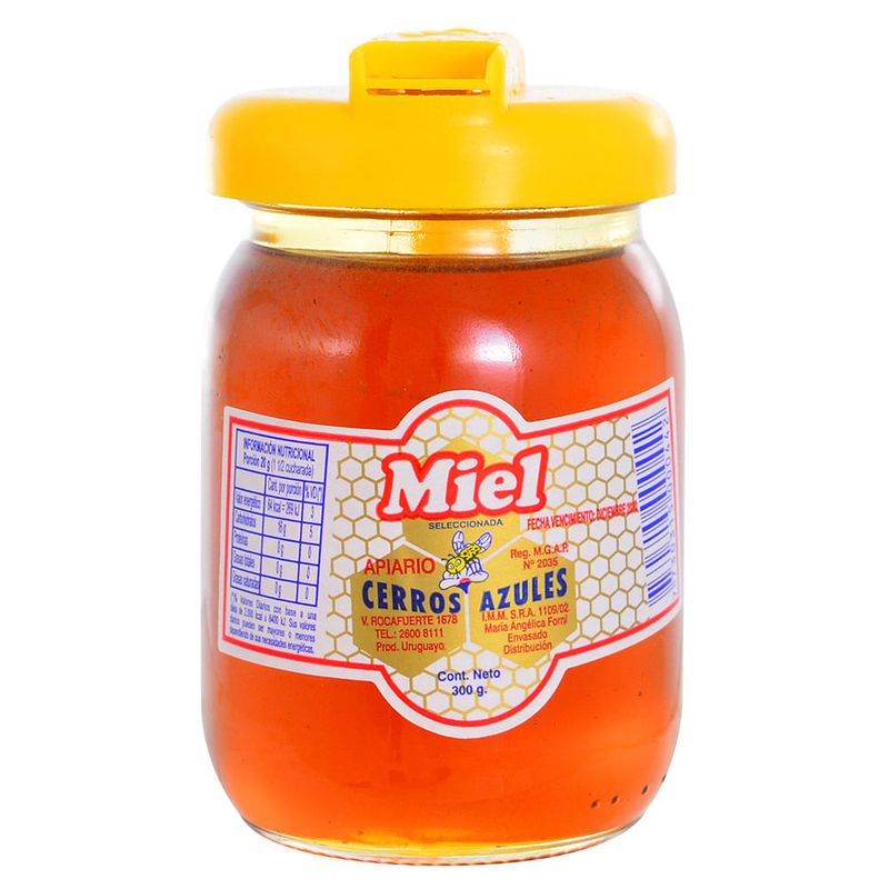 Miel-CERROS-AZULES-300-g-con-vertedor-0