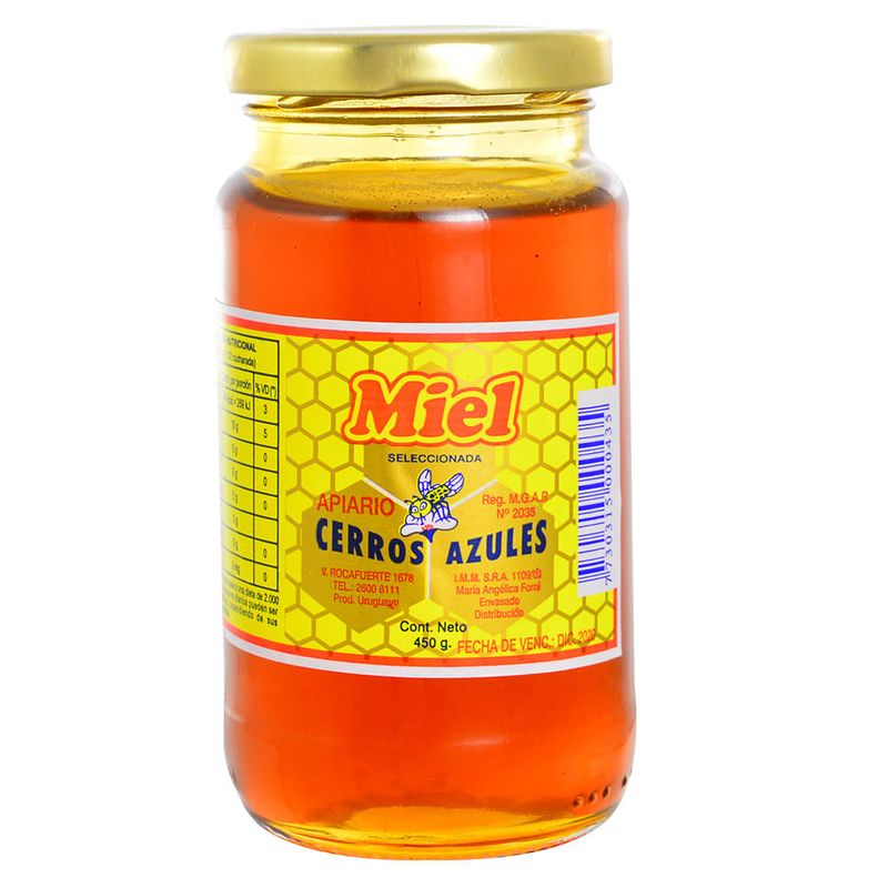 Miel-CERROS-AZULES-450-g-0