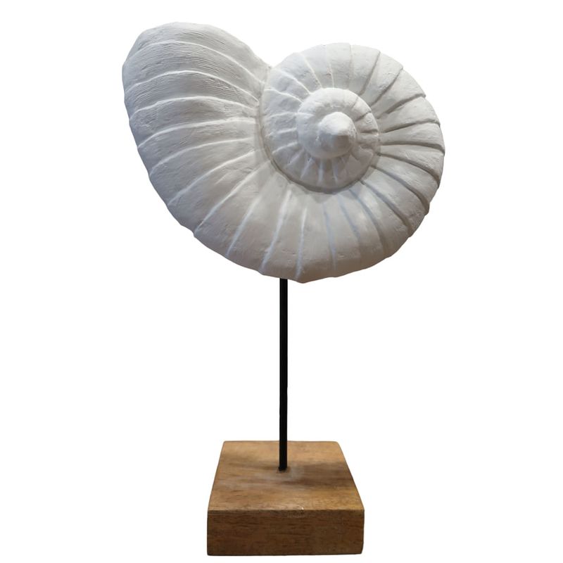 Caracol-blanco-con-soporte-0