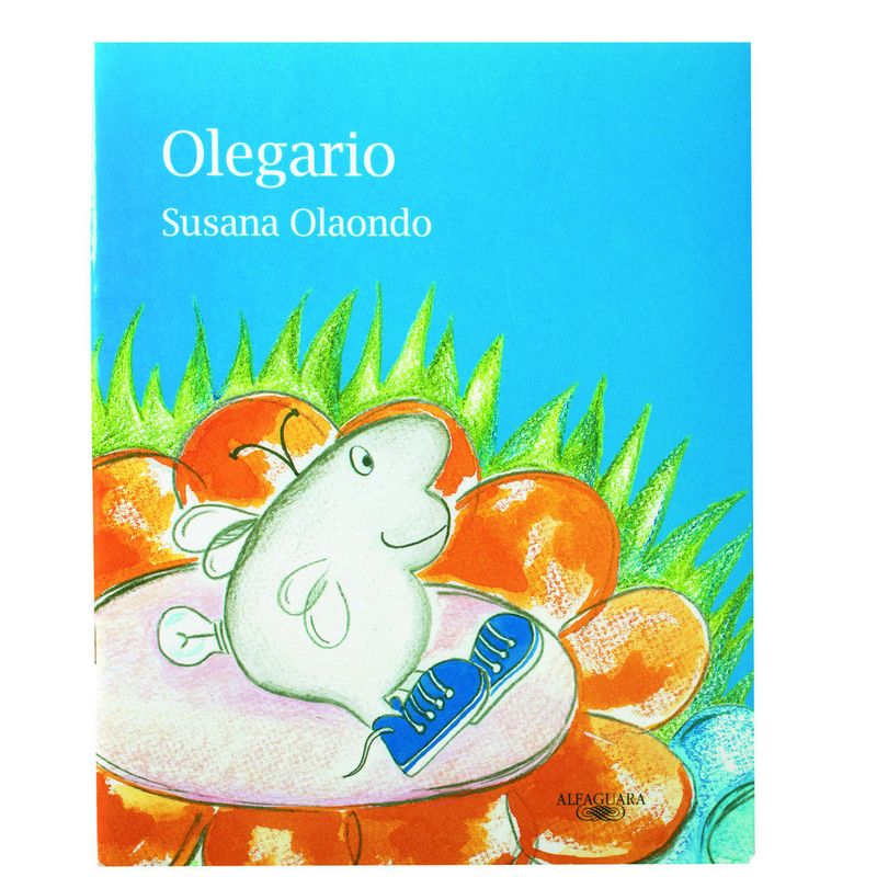 Coleccion-Susana-Olaondo-0