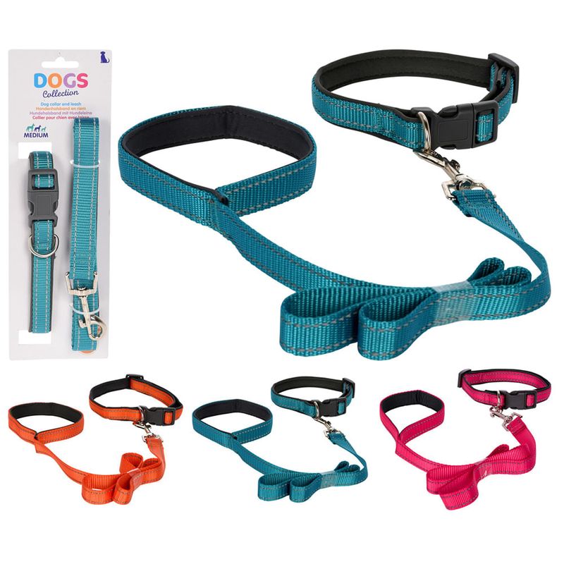 Set-correa---collar-para-perro-0