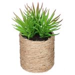Planta-artificial-en-maceta-h16-cm-2