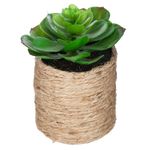 Planta-artificial-en-maceta-h16-cm-0