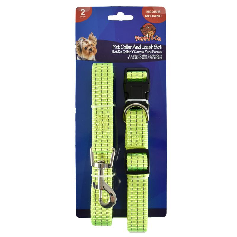 Set-collar-correa-para-perro-PUPPY-0