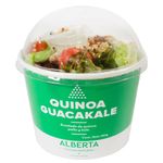 Ensalada-quinoa-guacamole-280-g-0