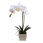 Planta-artificial-Phalaenopsis-51-cm-0