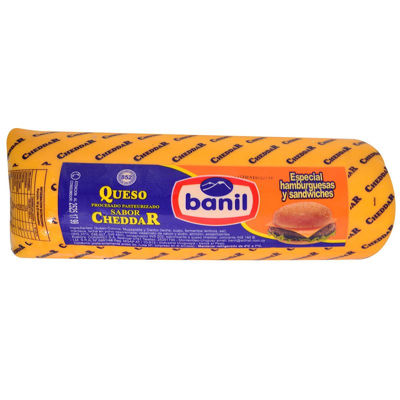 Queso-Cheedar-BANIL-x-50-g-0