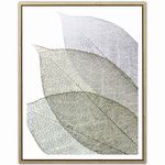 Lamina-con-marco-40x50-cm-hojas-0