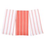 Set-x-3-Repasadores-40x60-cm-Portico-Coral-0