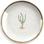 Plato-postre-de-melamina-21-cm-cactus-0