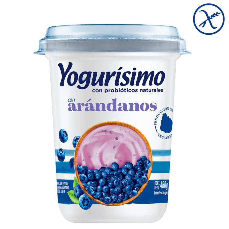 Yogurt-YOGURISIMO-natural-con-arandanos-460-g-1