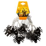 Guia-de-Arañas-2-m-0