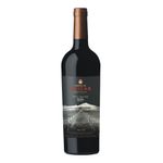 Vino-tinto-Malbec-Single-Vineyard-FAMILIA-DEICAS-0