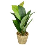 Planta-artificial-con-maceta-14x50-cm-0