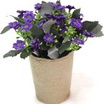 Planta-artificial-en-maceta-0