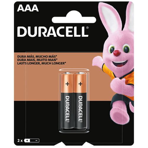 Pilas alcalinas DURACELL AAA x 2 un.
