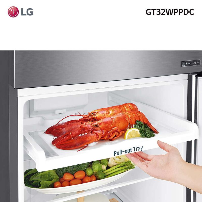 Heladera-LG-Omega-2-Mod-GT32WPPDC-312-L-4