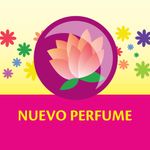Detergente-liquido-DRIVE-rosas-y-lilas-3-L-3