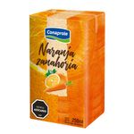 Jugo-CONAPROLE-Naranja-zanahoria-250-ml-0