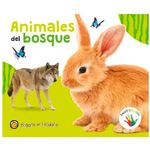 Coleccion-Toco-Y-Descubro-Egdh-2