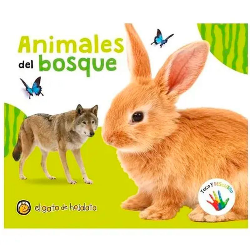 Coleccion-Toco-Y-Descubro-Egdh-2