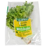 Escarola-Rizada-Saladfresh-0