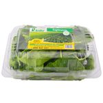 Espinaca-Baby-150-gr-EL-FORTIN-0