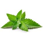 Menta-NUESTRA-QUINTA-30-g-0