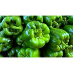 Morron-verde-especial-envasado-x-400-g-0