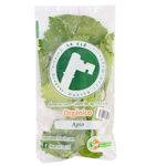 Apio-organico-Huerta-la-Cle-0