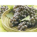 Uva-Alfonso-Lavalle-aprox-1-kg-0