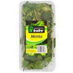 Menta-35-g-El-Fortin-0