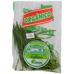 Ajo-chino-organico-0