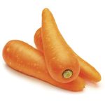 Zanahoria-organica-0