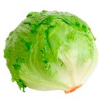 Lechuga-capuchina-0
