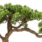 Bonsai-Artificial-con-Maceta-h45-cm-206548-1