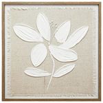 Lamina-con-Marco-50x50-cm-xcc-247830-T-0