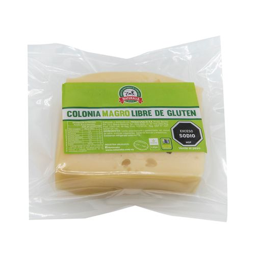 Queso magro tipo colonia fraccionado Granja Naturalia x 100 g