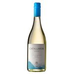 Vino-Blanco-Sauvignon-Premium-CATAMAYOR-750-ml-0
